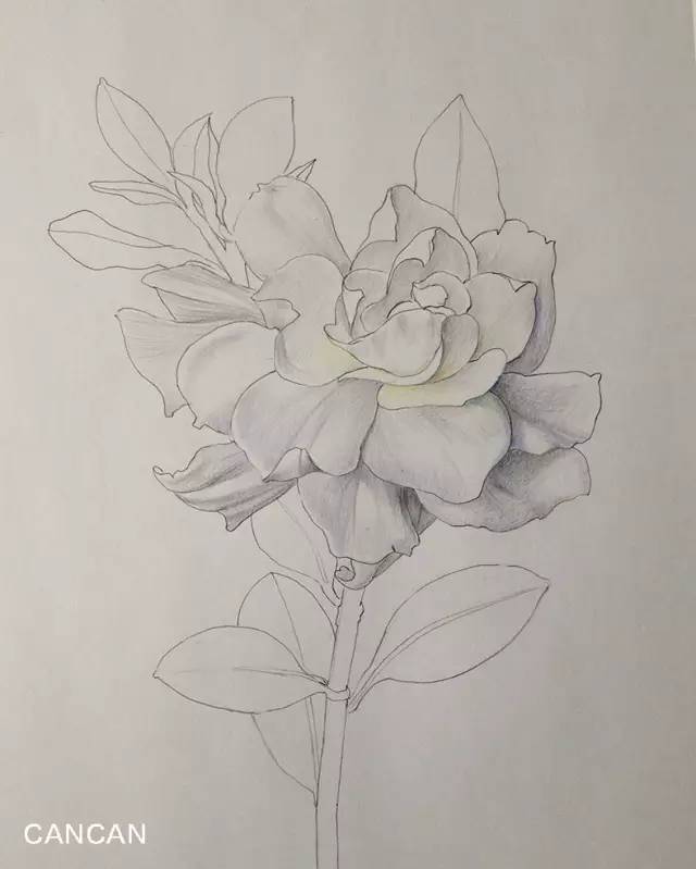 梅花社区:营养配餐 助力民生【三亿体育官网】(图1) 三亿体育手机版