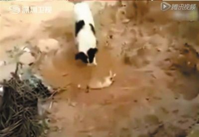 三亿体育手机版_挑战新极限 2019厦门游戏创作节报名正式开始(图1) 三亿体育手机版