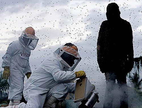 震后重振旅游 日喀则珠峰文化旅游节开幕‘三亿体育手机版’(图1) 三亿体育官网