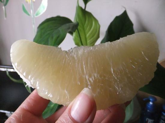 ‘三亿体育’TGC2017再度启航 亮点抢先看(图1) 三亿体育官网