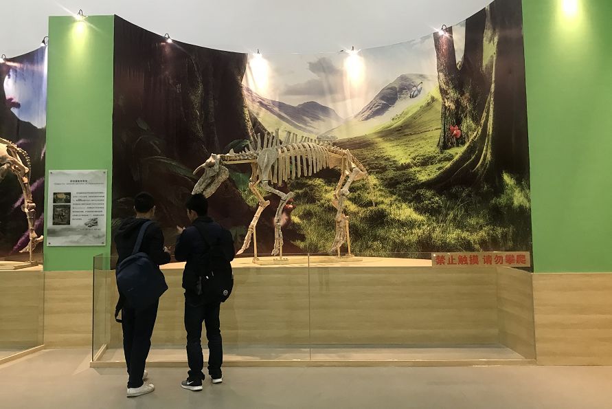 三亿体育手机版