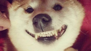 三亿体育手机版